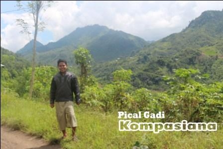 14035018081817559075