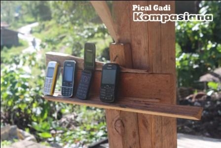 14035018441520824176