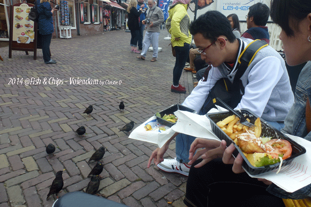 Bahkan Burung-Burung itu Tetap Bisa Makan .....