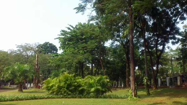 14112786671859029000