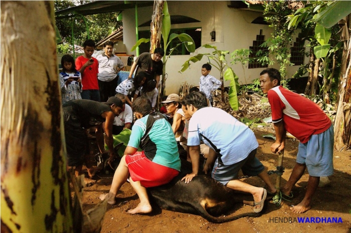 25+ Gambar Kartun Gotong Royong Desa - Kumpulan Gambar Kartun