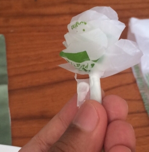 Membuat Bunga Cantik dari Kantong Plastik oleh Asyik  Membuat Bunga Cantik dari Kantong Plastik oleh Asyik