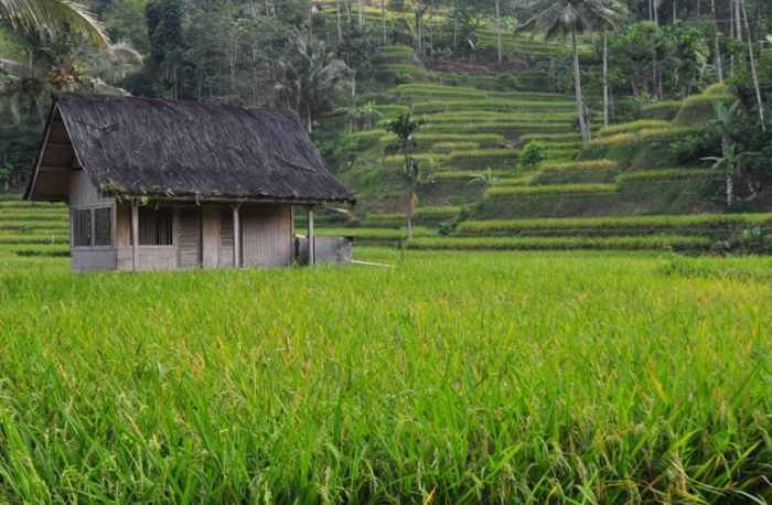 Refreshing Sejenak di  Kampung Naga yang Indah dan Asri 