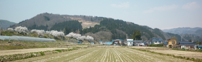 Lansekap Kitakata: Ladang dan Pohon SakuraSebagai negara yang penduduknya sama-sama “makan nasi”, Jepang masih memiliki wilayah perdesaan yang berbasis pertanian.