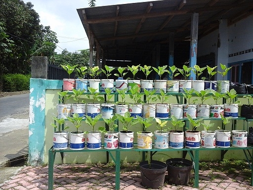 Berbagi Kebaikan Bersama Indosat Sejuta Manfaat Kebun Berbagi Kebaikan Bersama Indosat Sejuta Manfaat Kebun