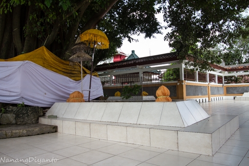 14249192131570579905 14249192131570579905