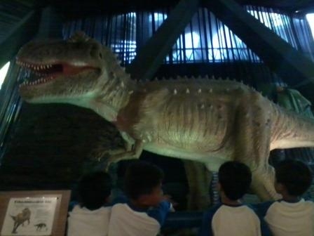 14277656911340295505