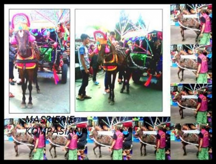 Kesenian Rakyat , Kuda menari, musiknya tradisi Sunda dengan  dominasi seruling. Indonesian Art, Dancing Horse, 