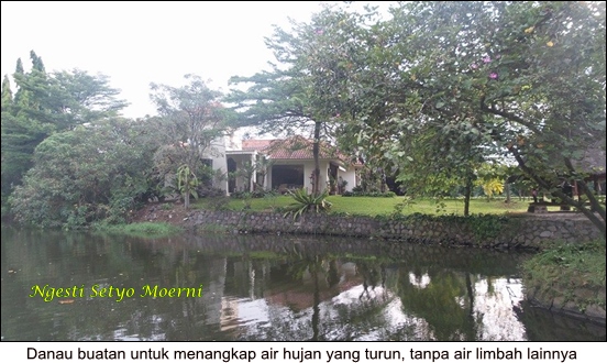 Hutan Kota Tanah Tingal Milik Pecinta Lingkungan Sejati Hutan Kota Tanah Tingal Milik Pecinta Lingkungan Sejati