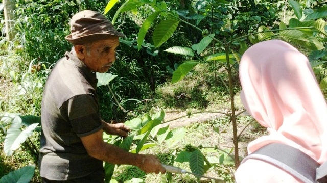 Sugiman, petani dengan lahan kopi paling luas di Petung. Itupun, ia mengaku luasannya belum layak disebut kebun, dengan hanya 200-an pohon. Jika lancar, Sugiman berharap sudah bisa memulai masa panen antara Oktober hingga Maret. Foto diambil Sabtu (16/5/2015)/FandiSido.