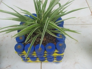 Pot Barbek Seindah Tanaman Hias Kompasiana com Pot Barbek Seindah Tanaman Hias Kompasiana com