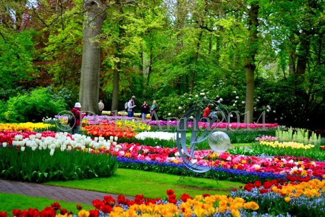 Ada Tulip Ice Cream di Keukenhof Belanda Trip Report 